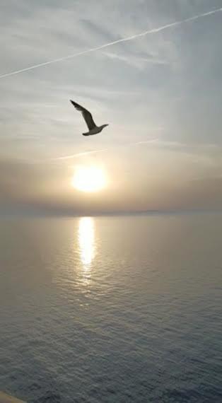 Armareaoverseassuites Φιουμιτσίνο Εξωτερικό φωτογραφία